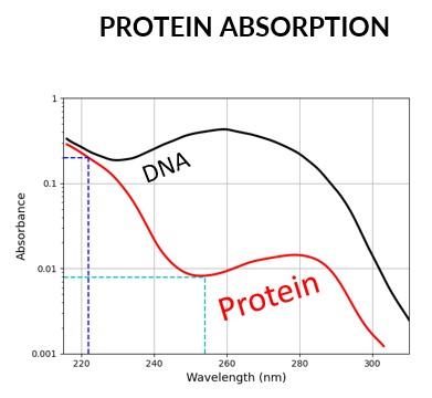 Sécurité FAR-UVC-Absorption protéines EN