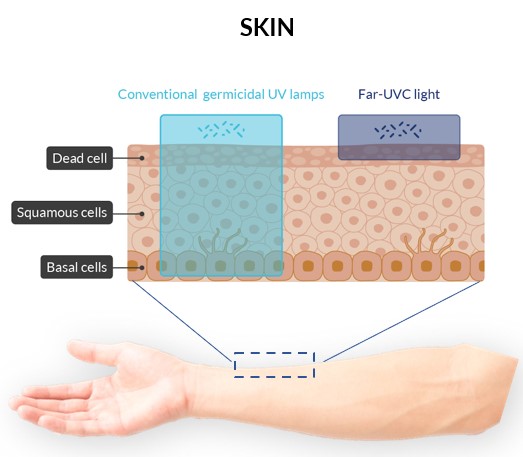 Sécurité FAR-UVC-La peau EN