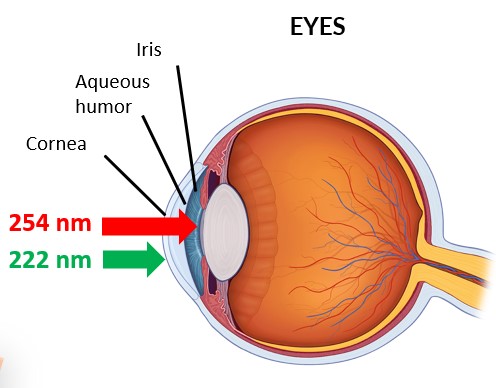 Sécurité FAR-UVC-Yeux EN